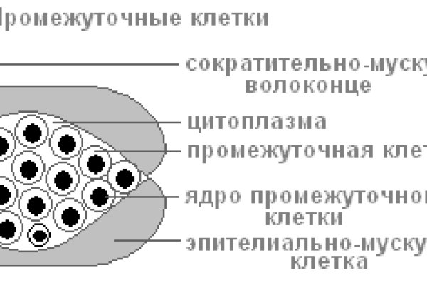 Кракен обход vtor run