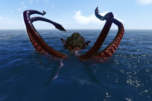 Kraken верификация